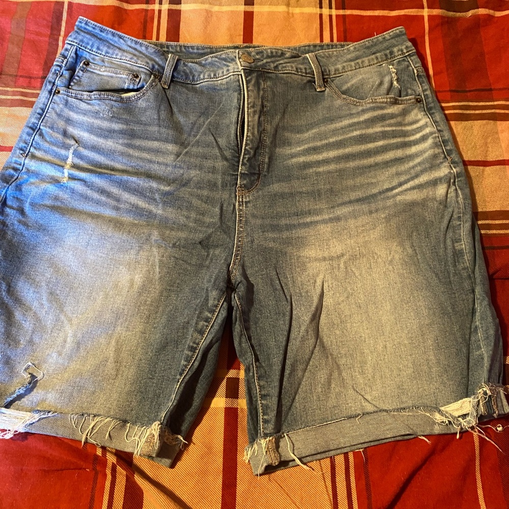 Terra and sky distressed jean short 20w